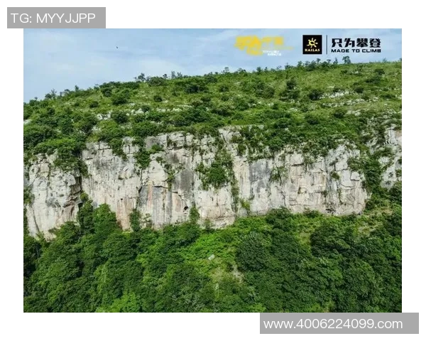 攀岩之路的深度对话：杨芳如何在挑战中绽放人生光彩