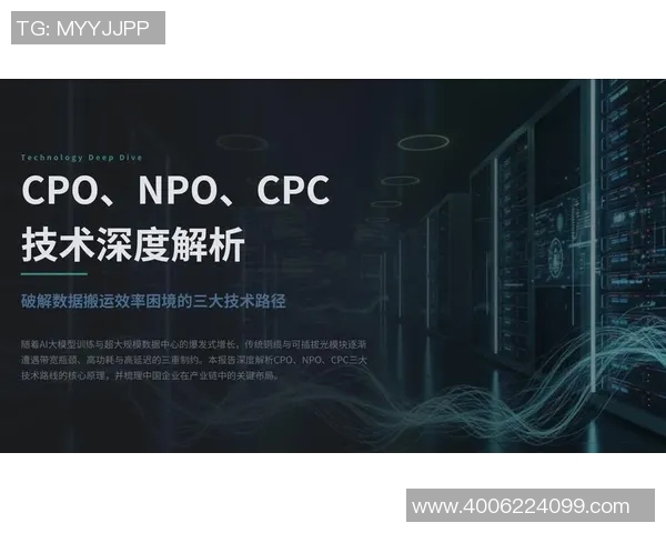 深度分析WE战队的阵地战策略与战术布局解析