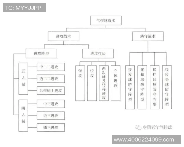 上海排球队整体压制战术解析与实战应用探讨