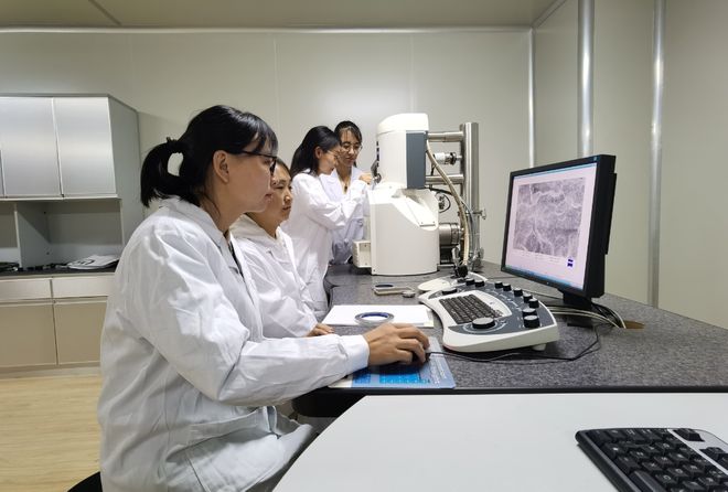 尊龙凯时-人生就是搏!了不起的中国制造电力设备可视化检测及智能诊断实验室装备升级(图2)